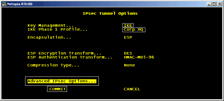 [Encapsulation Options