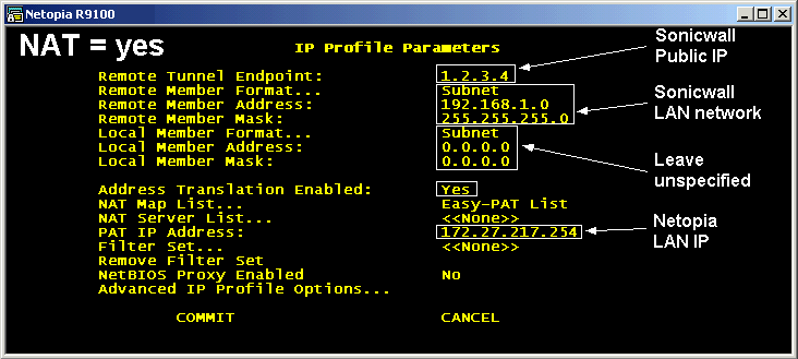 [IP Profile Parameters - NAT
