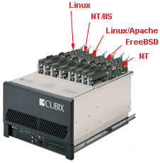 8 celeronsISP.gif (18124 bytes)