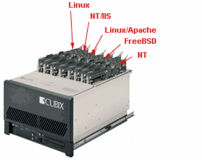 8 celeronsISP.gif (18124 bytes)
