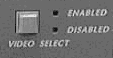 FACEPL9.GIF (1927 bytes)