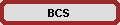Balanced Cluster Service